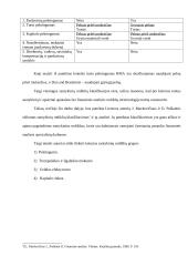 Santykiniai rodikliai ir jų pasirinkimo principai 10 puslapis