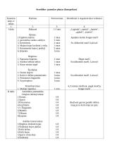 Aerobikos pamokos planas 2 puslapis