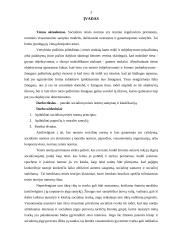 Socialinių teisės normų samprata ir klasifikacija 2 puslapis