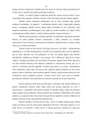 Socialinių teisės normų samprata ir klasifikacija 17 puslapis