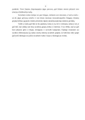 Socialinių teisės normų samprata ir klasifikacija 3 puslapis