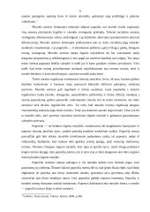 Socialinių teisės normų samprata ir klasifikacija 5 puslapis