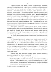 Socialinių teisės normų samprata ir klasifikacija 6 puslapis