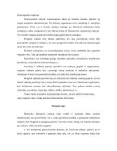 Išplėstinis nepamokinio renginio planas: "Išleistuvių vakaronė –  neakivaizdinė kelionė laivu" 2 puslapis