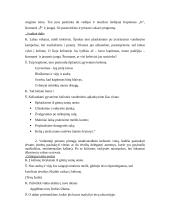 Išplėstinis nepamokinio renginio planas: "Išleistuvių vakaronė –  neakivaizdinė kelionė laivu" 3 puslapis