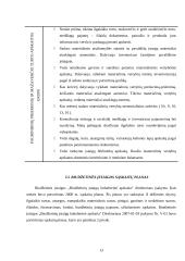 Baigiamosios praktikos ataskaita: "Biudžetinių įstaigų buhalterinė apskaita" 13 puslapis