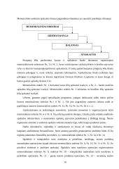 Baigiamosios praktikos ataskaita: "Biudžetinių įstaigų buhalterinė apskaita" 16 puslapis