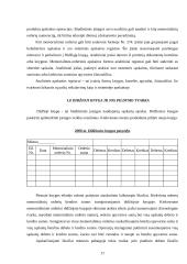 Baigiamosios praktikos ataskaita: "Biudžetinių įstaigų buhalterinė apskaita" 17 puslapis