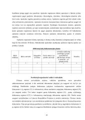 Baigiamosios praktikos ataskaita: "Biudžetinių įstaigų buhalterinė apskaita" 19 puslapis