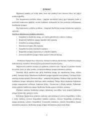Baigiamosios praktikos ataskaita: "Biudžetinių įstaigų buhalterinė apskaita" 3 puslapis