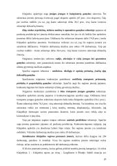 Stambių įmonių Lietuvoje – jų stipriųjų pusių ir grėsmių bei įtakos regionų vystymui ir užimtumui - studija 20 puslapis