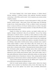 Stambių įmonių Lietuvoje – jų stipriųjų pusių ir grėsmių bei įtakos regionų vystymui ir užimtumui - studija 3 puslapis