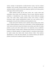 Stambių įmonių Lietuvoje – jų stipriųjų pusių ir grėsmių bei įtakos regionų vystymui ir užimtumui - studija 4 puslapis