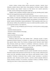 Baigiamosios praktikos ataskaita: antstolio kontora 13 puslapis