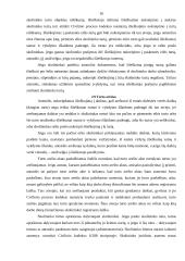 Baigiamosios praktikos ataskaita: antstolio kontora 15 puslapis