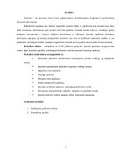 Baigiamosios praktikos ataskaita: prekyba statybinėmis ir apdailos medžiagomis UAB "Bikuvos prekyba" 3 puslapis