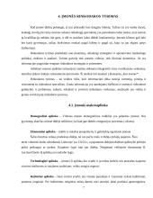 Baigiamosios praktikos ataskaita: siuvimo įmonė 7 puslapis