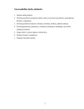 Dažymo mokomoji praktika 2 puslapis