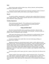 Dažymo mokomoji praktika 4 puslapis