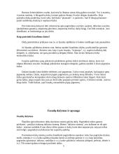 Dažymo mokomoji praktika 5 puslapis