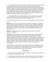 Dažymo mokomoji praktika 8 puslapis