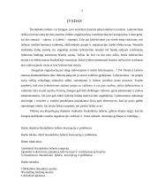 Šiuolaikinis lyderis 2 puslapis