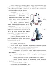 Dažymo mokomosios praktikos ataskaita 3 puslapis