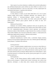 Dažymo mokomosios praktikos ataskaita 5 puslapis