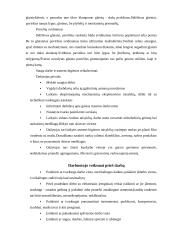 Dažymo mokomosios praktikos ataskaita 6 puslapis