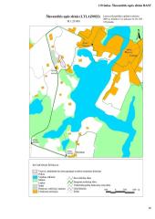 Šlavantėlės upės slėnio gamtotvarkinis planas 16 puslapis