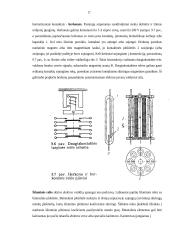 Elektros grandinių pažintinės praktikos ataskaita 17 puslapis