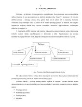 Šveicarijos žiemos turizmo ištekliai ir jų analizė 2 puslapis