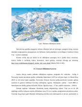 Šveicarijos žiemos turizmo ištekliai ir jų analizė 15 puslapis