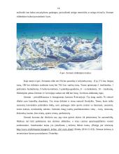 Šveicarijos žiemos turizmo ištekliai ir jų analizė 16 puslapis