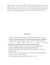 Šveicarijos žiemos turizmo ištekliai ir jų analizė 20 puslapis