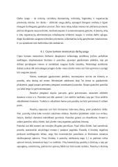 Gamybinės – technologinės praktikos ataskaita: statybos bendrovė AB "Akmeresta" 17 puslapis