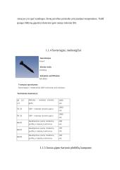 Gamybinės – technologinės praktikos ataskaita: statybos bendrovė AB "Akmeresta" 9 puslapis