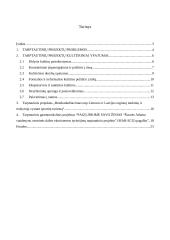 Tarptautiniai projektai 2 puslapis