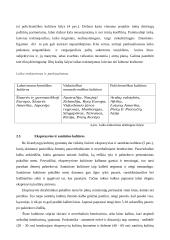 Tarptautiniai projektai 11 puslapis