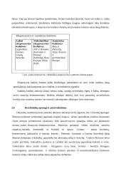 Tarptautiniai projektai 12 puslapis