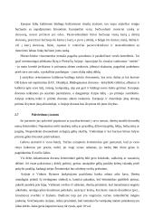 Tarptautiniai projektai 13 puslapis