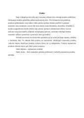 Tarptautiniai projektai 3 puslapis