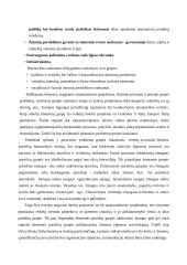 Tarptautiniai projektai 5 puslapis