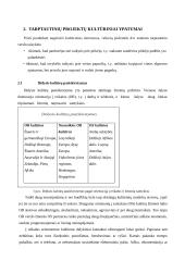 Tarptautiniai projektai 6 puslapis