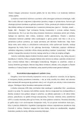 Tarptautiniai projektai 7 puslapis