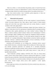 Tarptautiniai projektai 9 puslapis