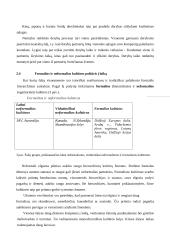 Tarptautiniai projektai 10 puslapis