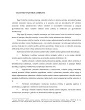 Valstybės tarnyba referatas 2 puslapis