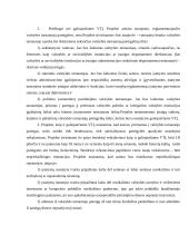 Valstybės tarnyba referatas 12 puslapis