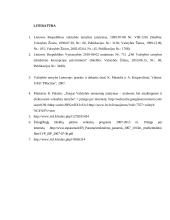 Valstybės tarnyba referatas 17 puslapis